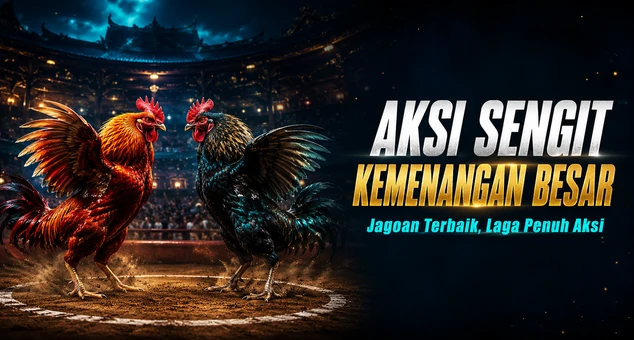 Kategori sabung ayam online